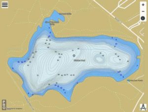 Walden Pond trout fishing map