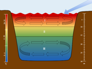 Chart of lake thermocline